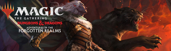 Adventures in the Forgotten Realms Adventures in the Forgotten Realms