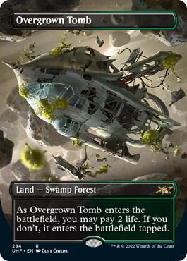 Magic: The Gathering: Overgrown Tomb (Borderless) - Unfinity