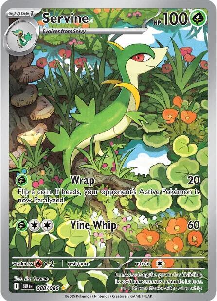 Pokémon: Servine - 088/086 - SV: Black Bolt - VGMX
