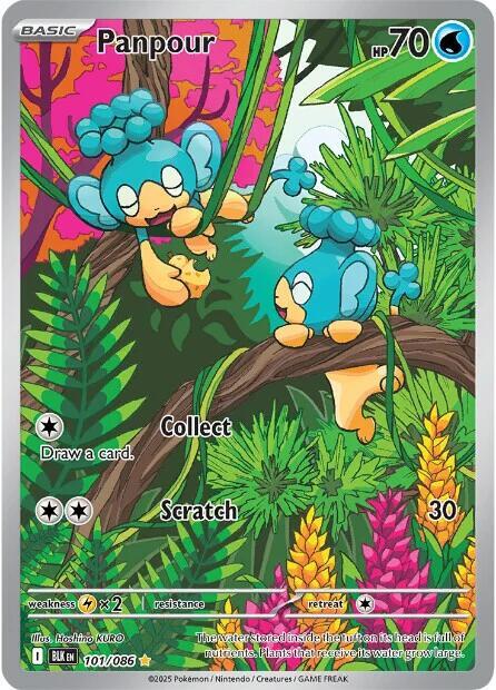 Pokemon: Panpour - 101/086 - Black Bolt - VGMX