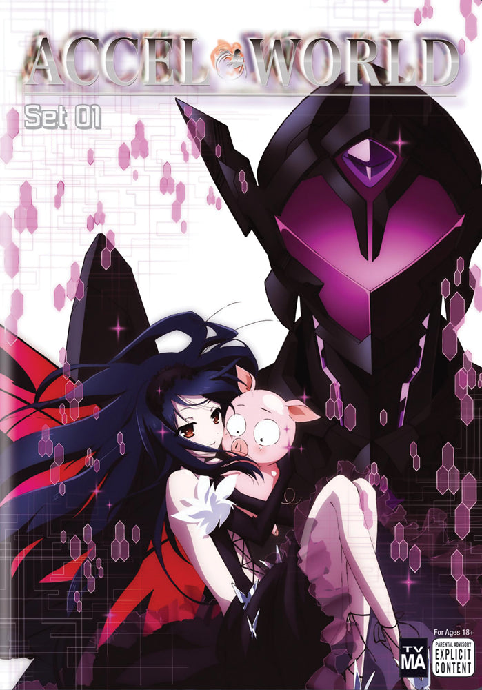 Accel World: Set 01