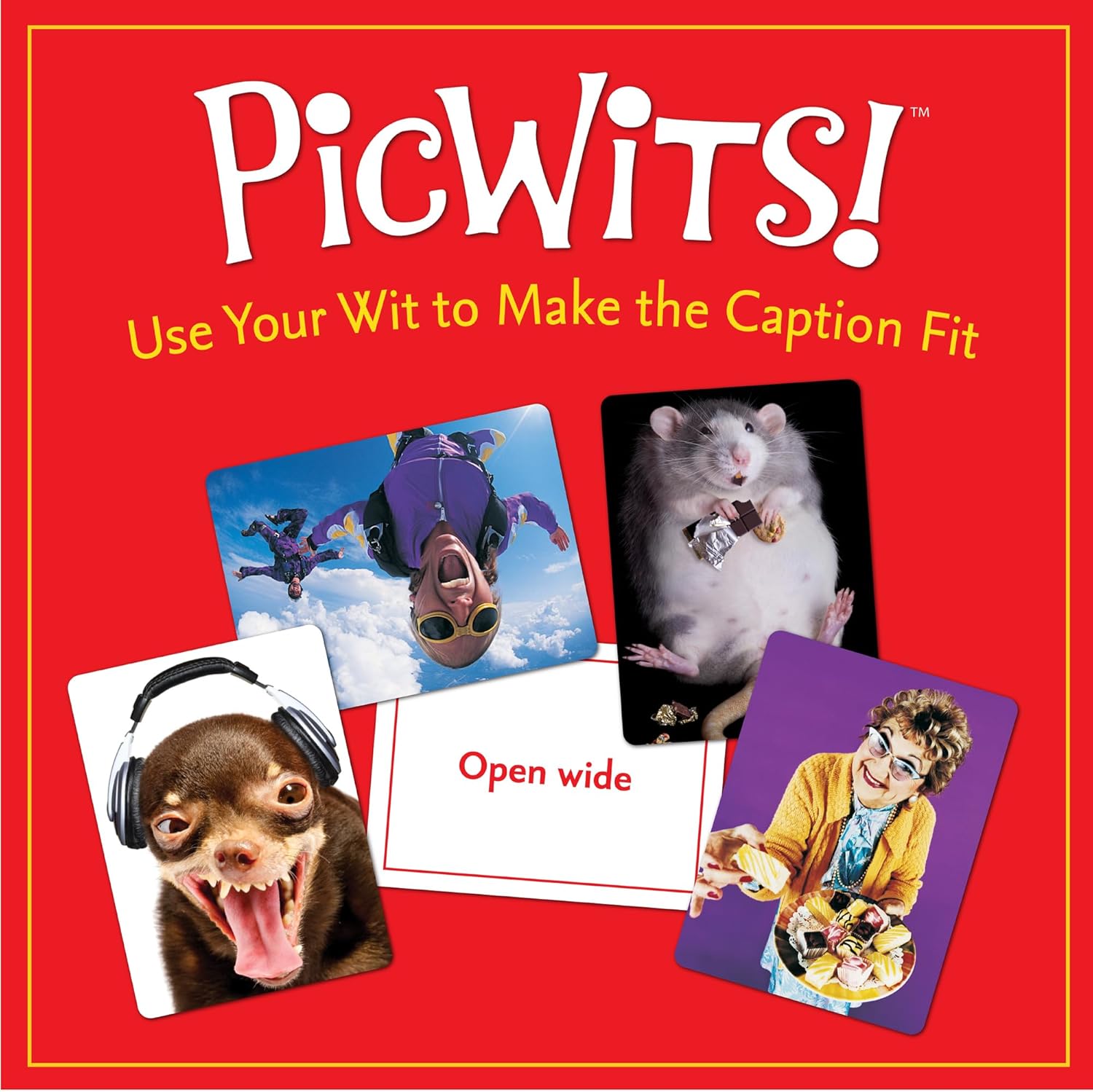 MindWare PicWits!