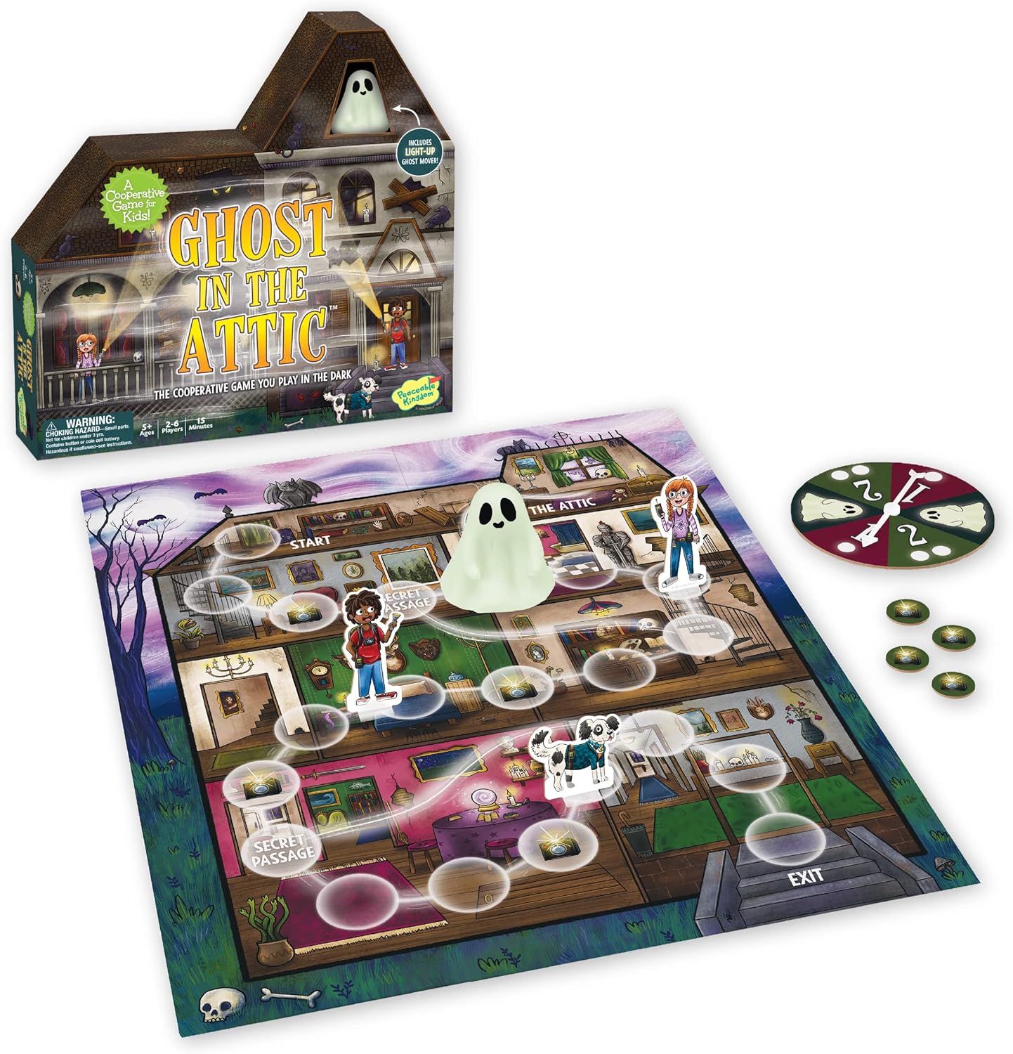 Ghost in the Attic Cooperative Game