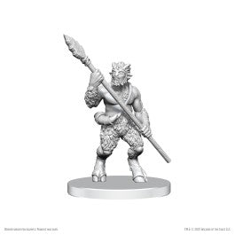 Dungeons & Dragons: Nolzur's Marvelous Miniatures (Various Designs)