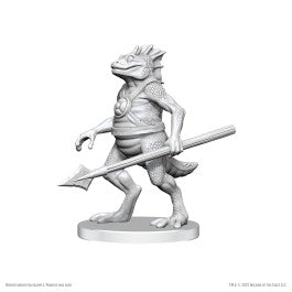 Dungeons & Dragons: Nolzur's Marvelous Miniatures (Various Designs)