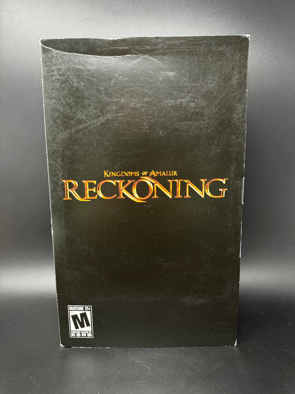 Kingdoms of Amalur: Reckoning - Special Edition PC