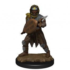 D&D Wave 13 Nolzur's Marvelous Miniatures Human Fighter Male - VGMX