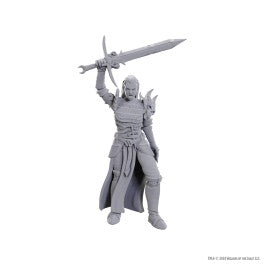Dungeons & Dragons Nolzur's Marvelous Miniatures: Blackguard - VGMX