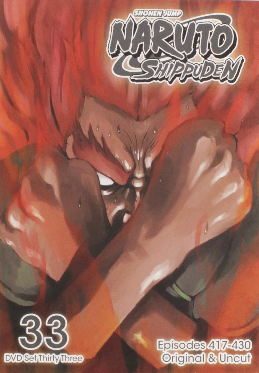 Naruto Shippuden: Set 33 Uncut DVD - VGMX