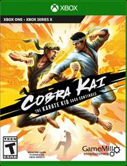 Cobra Kai: The Karate Kid Saga Continues - Xbox One - VGMX
